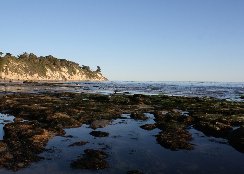 ocean-view