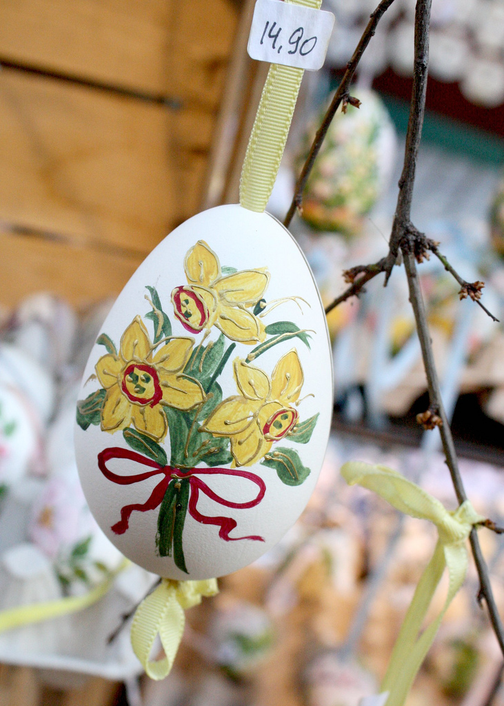 daffodils