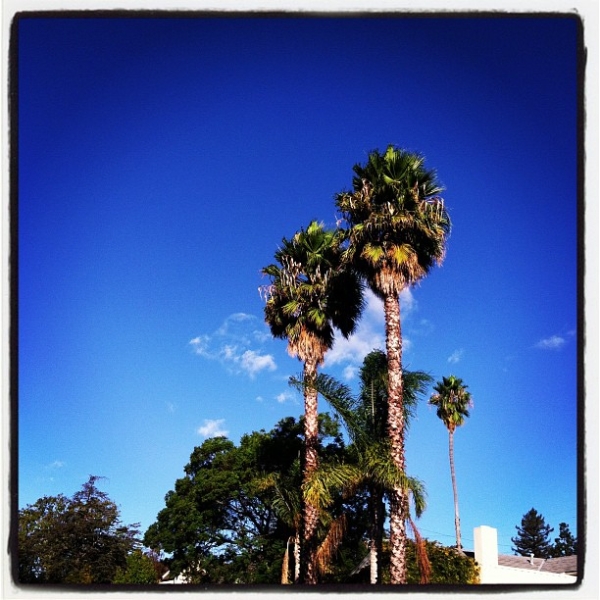 santa-barbara-fall