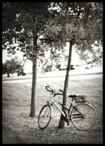 Bike at Rest