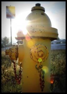 Hydrant with Flare