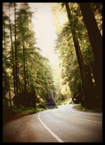 Redwood Road